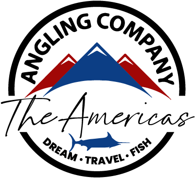 LOGO ORIGINAL